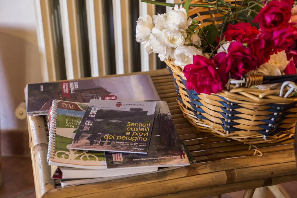 Agriturismo Monte Acuto อุมแบร์ทิเดอ ภายนอก รูปภาพ