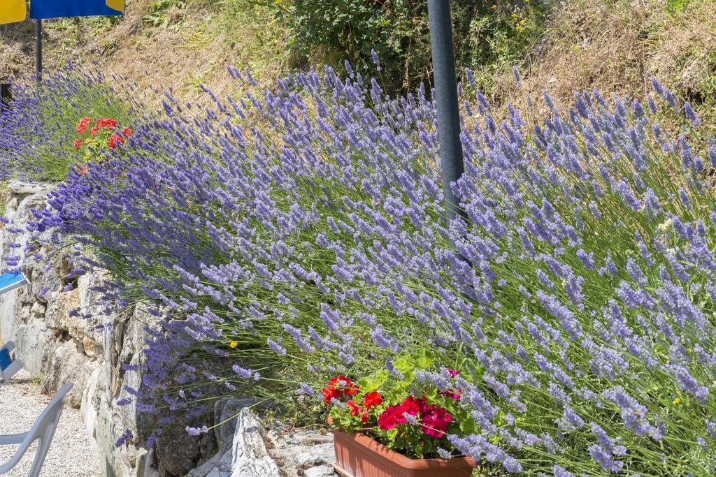 Agriturismo Monte Acuto อุมแบร์ทิเดอ ภายนอก รูปภาพ